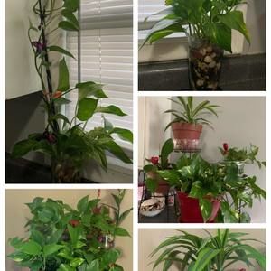 Meet your Posher, Vilma mena